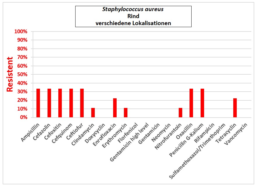 Balkendiagramm: Staphylococcus aureus.