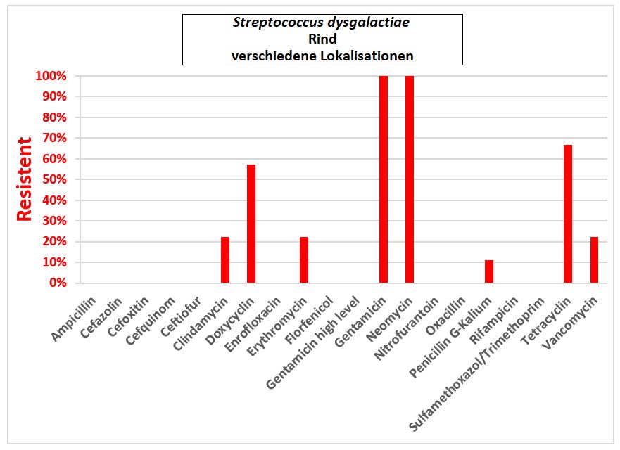 Balkendiagramm: Streptococcus dysgalactiae.