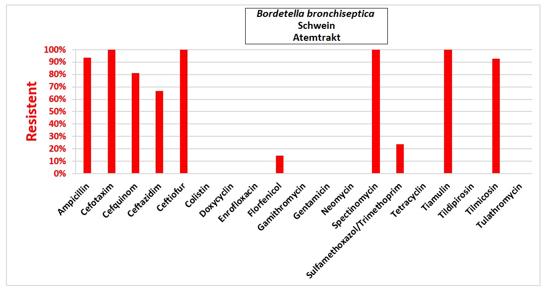 Balkendiagramm: Bordetella bronchiseptica.