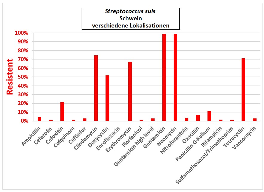 Balkendiagramm: Streptococcus suis.
