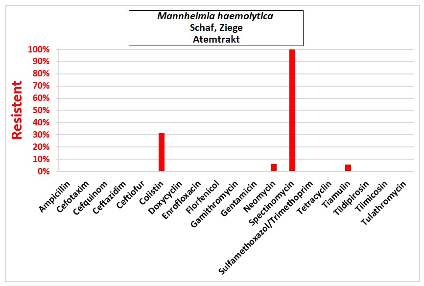 Balkendiagramm: Mannheimia haemolytica.