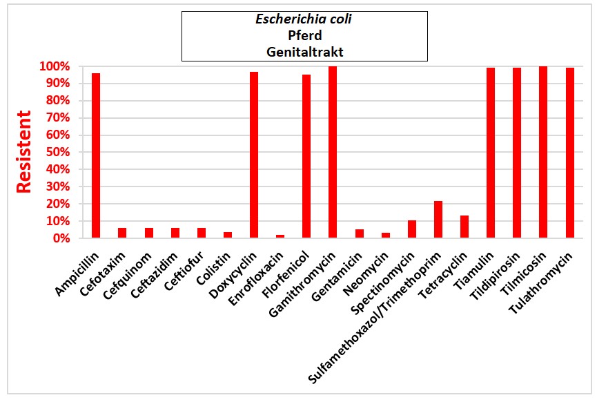 Balkendiagramm: Escherichia coli.