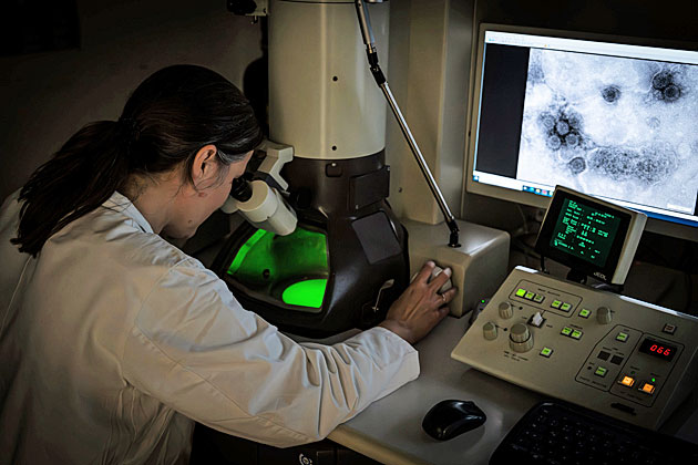 Bild 3: Blick auf das Elektronenmikroskop des CVUA Stuttgart. Eine Mitarbeiterin bedient das Mikroskop. Auf einem Computer-Bildschirm werden die Viren gezeigt, die sie im Mikroskop sieht.