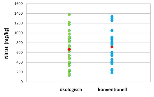 Abbildung 1: Streuung der Nitratgehalte in den untersuchten Proben aus ökologischer Erzeugung (n = 29) und konventioneller Erzeugung (n = 27); mittlere Gehalte in Rot dargestellt.