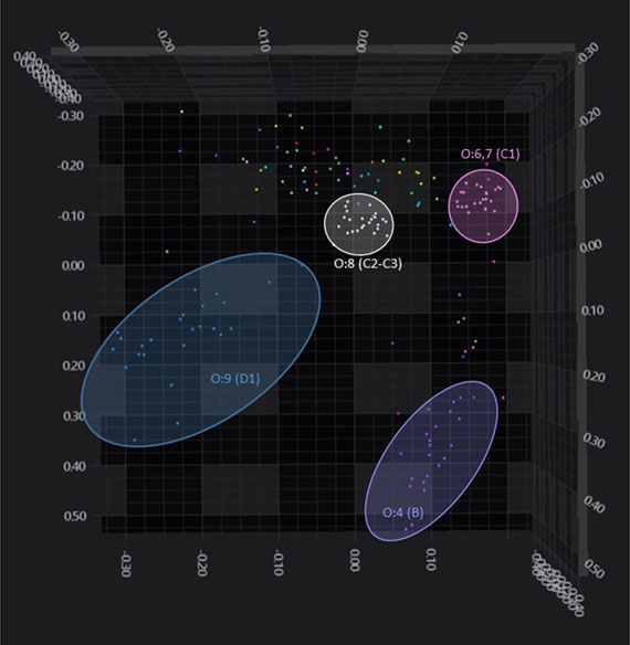 Abbildung 2: 3D-Scatter plot der Absorptionsspektren der Validierungsstämme.