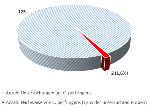 Kuchendiagramm.