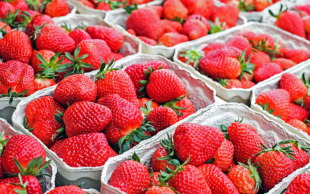 Foto: frische Erdbeeren in Pappmaché-Schalen.