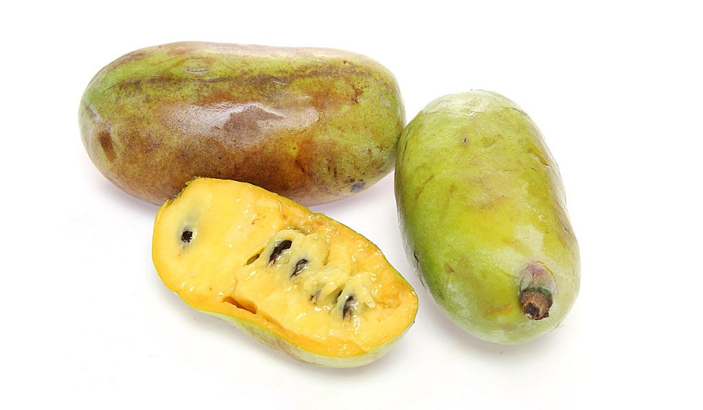 Abb. 1: Etwa faustgroße Früchte der Indianerbanane bzw. Papau (Asimina triloba).