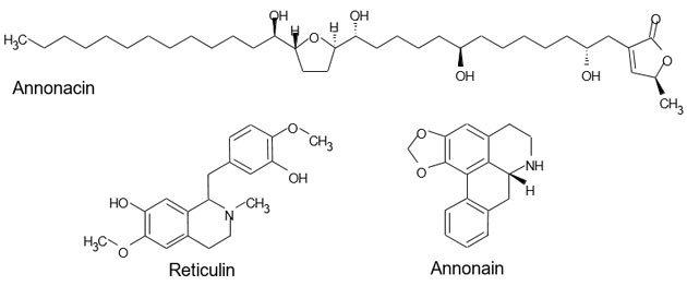 Abb. 2: Beispielhafte Strukturformeln für Acetogenine (Annonacin), Benzyltetrahydroisochinolinalkaloide (Reticulin) und Aporphinalkaloide (Annonain).
