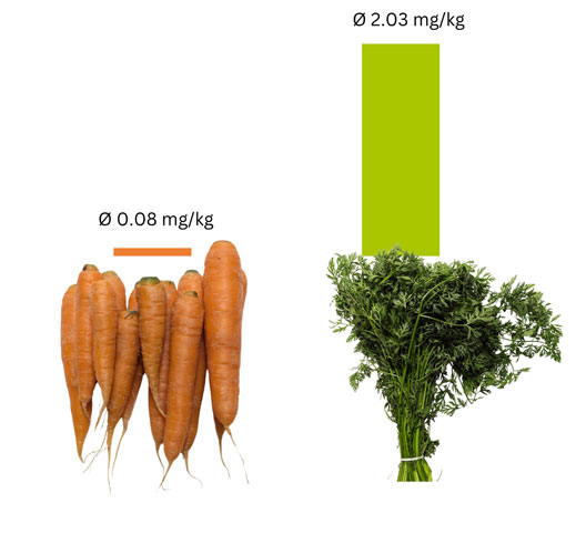 Chart: Average Residue Level of Carrots and Carrot Greens in Comparison.